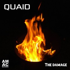 The Damage
