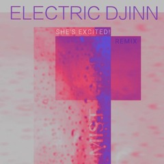 Electric Djinn - MIST (She's Excited! Remix)