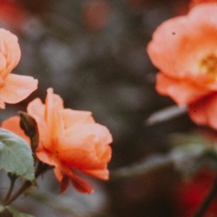 SG Lewis & Clairo - Throwaway (depuis flip)