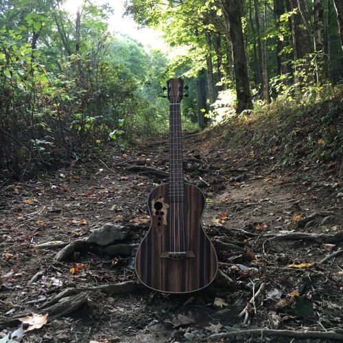 Wixel - On My Way To The Moon [ Cover by Ghosty Conspiracy Ukulele ]