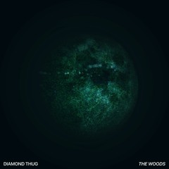 Diamond Thug - The Woods