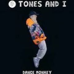 Tones & I - Dance Monkey (Paul Gannon Bootleg) #gbxanthems #dancebounce CAR CHOONZ