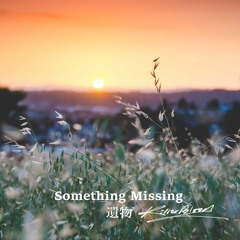 Something Missing 遺物