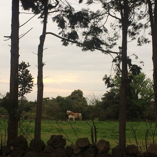 돌아가는 길에 On the way to return