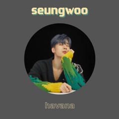 Han Seungwoo (한승우) - HAVANA (Run.wav)