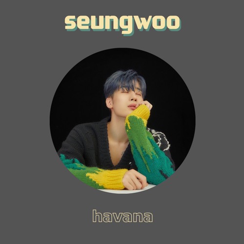 Han Seungwoo (한승우) - HAVANA (Run.wav)