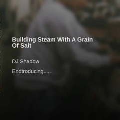 Building Steam With A Grain Of Salt (Dj Shadow remake)