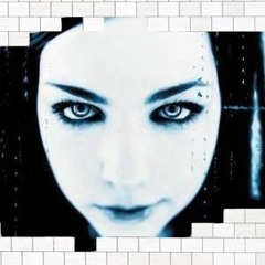 exa - Evanefloyd - Bring me to the wall