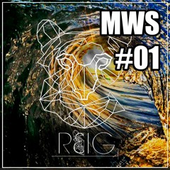 Melodic Waves Session #01 by Reig // FREEDOWNLOAD