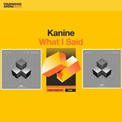 Kanine - What I Said x AC13 - The Virus