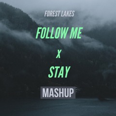 Follow Me x Stay (Forest Lakes Mashup)