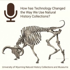 How Has Technology Changed The Way We Use Natural History Collections?