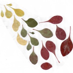 riverspeak - for piano trio (Premiere)