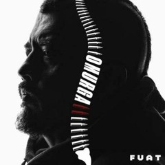 Fuat Ergin - İstikrar Harbi