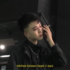 bitches broken heart // DANI