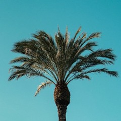 (NEW) Nicky Jam X Daddy Yankee X Alexys y Fido Reguaeton Type Beat 2019 Instrumental