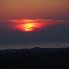 Joel Corry - Sorry (Forre Remix)