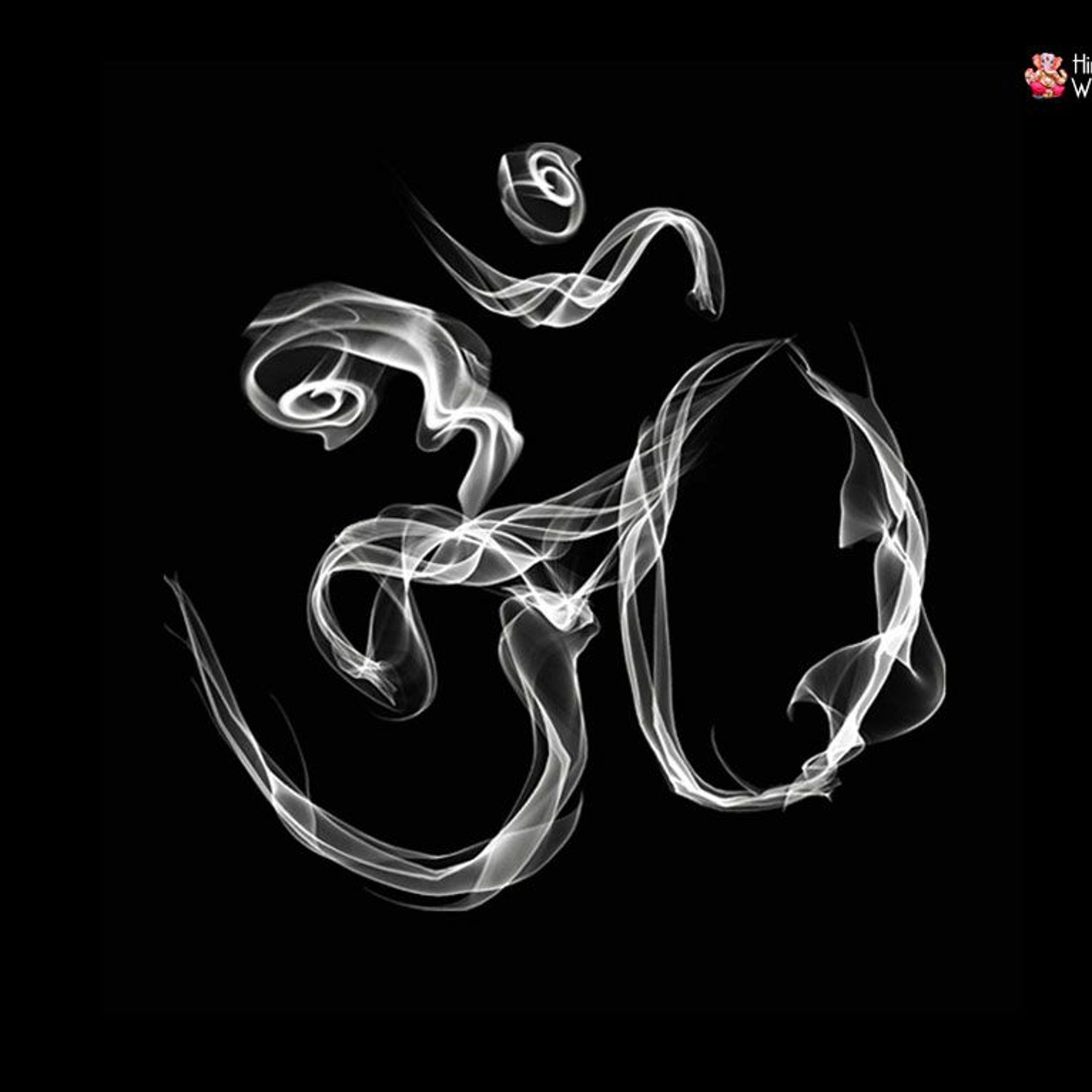 Rymo D || 3IC