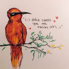 Pájaro de Carmesí
