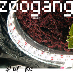 05 СОЧНЫЙ БИТ