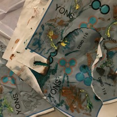 the woods behind my house are haunted