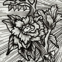 Sobre la Reencarnación en Gardenia