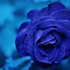 I Guess That's Why They Call It The Blues (COVER)