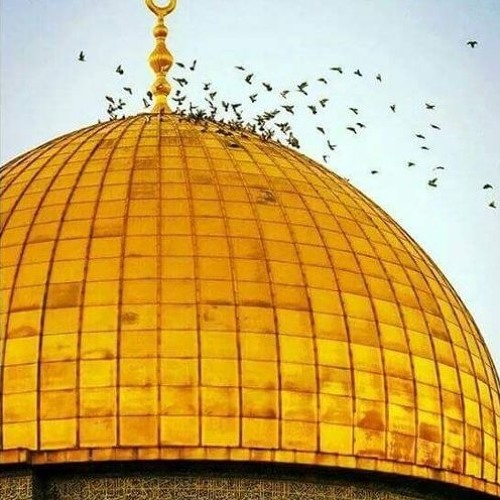 زُيِّنَ لِلنَّاسِ حُبُّ الشَّهَوَاتِ | حمزة الفار