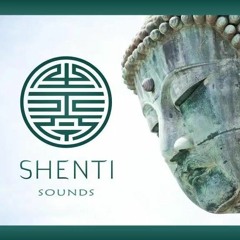 Shenti Sounds - Alchemic Souls