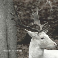 01. The Wonder Years