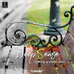 Deep Sense (Hành trình cảm xúc - nhạc hưởng Deep House) - TUNGNT Mixset