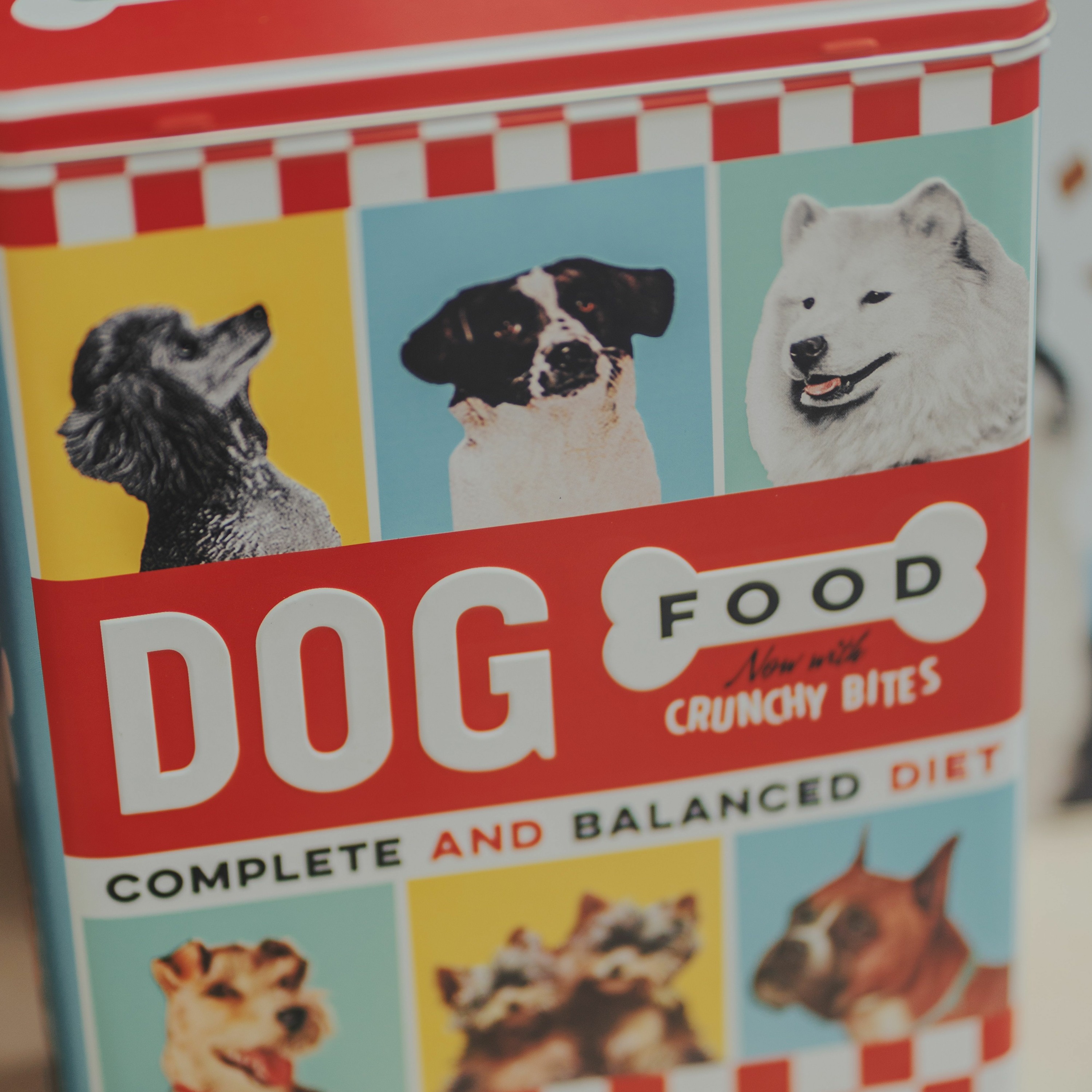 Dog Food episode artwork