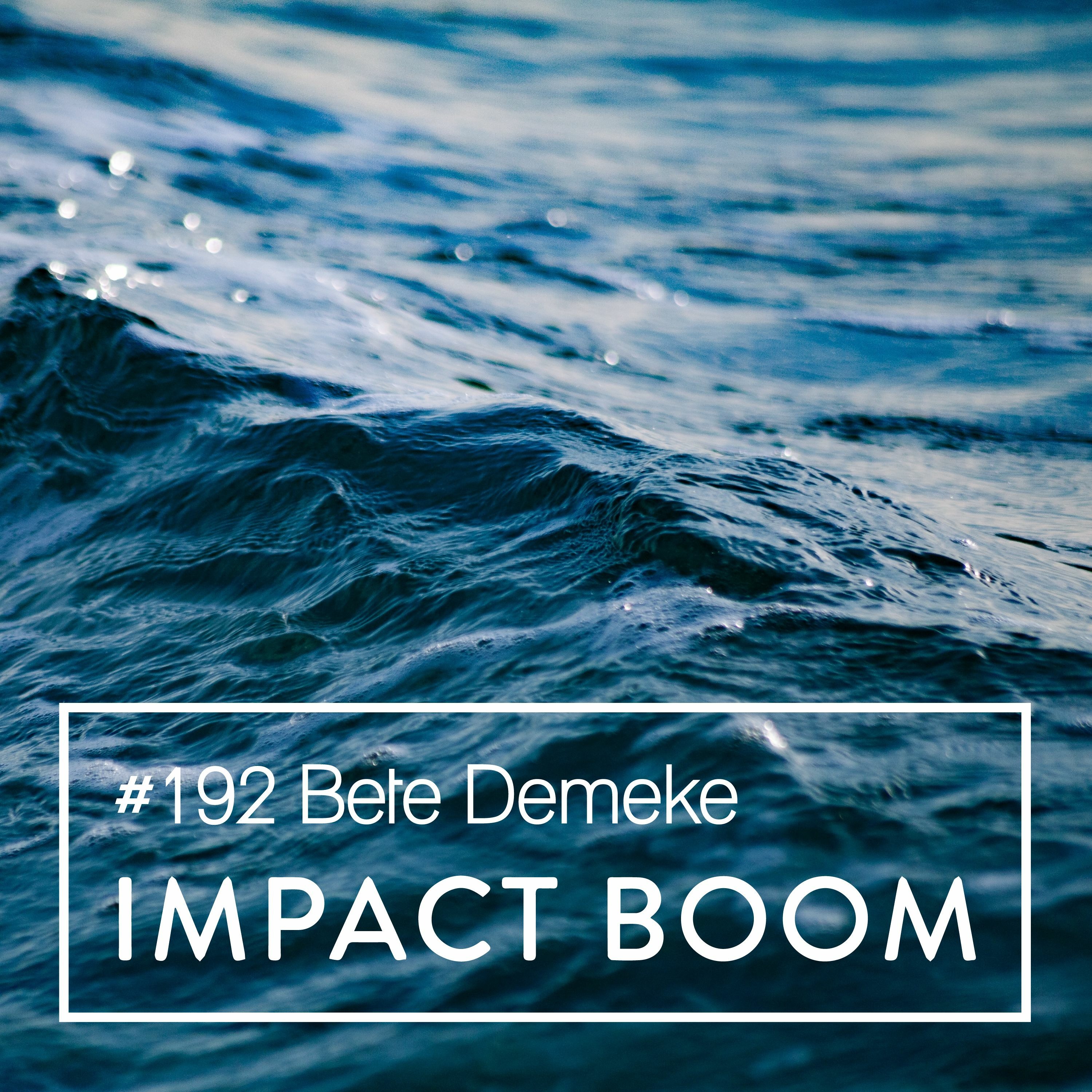 Episode 192 (2019) Bete Demeke On The Five Essential Components For Rural Community Development episode artwork