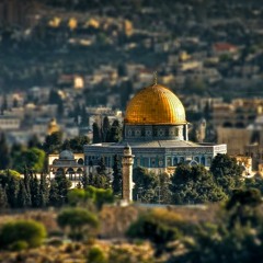 تلاوة هادئة ماتعة من سورة الفرقان - القارئ أنس بُراق