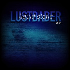 Liquid Static - VOL 01 (Lustbader's Liquid Static (Heavy Electrons) Mix VOL01)