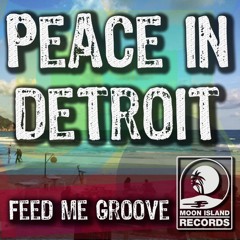 Feed Me Groove - Peace In Detroit