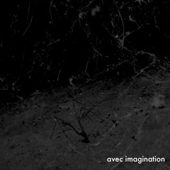 Avec Imagination