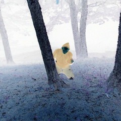 Captain Puppy X - Always happy