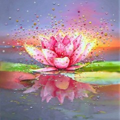 Shah Ecstatic - Gled iis alternativ v/