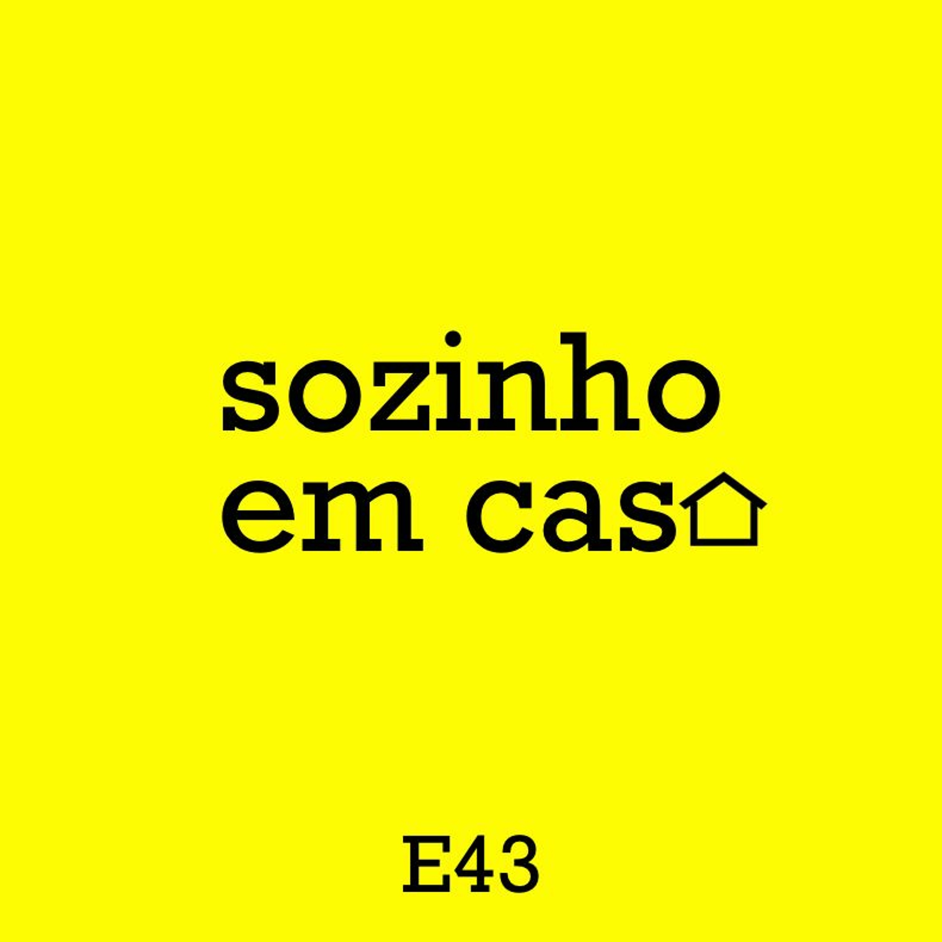 sozinho em casa