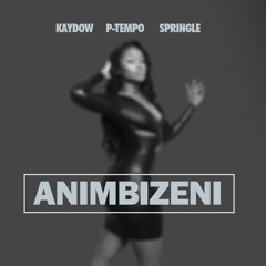 Kaydow,P - Tempo & Springle Animbizeni