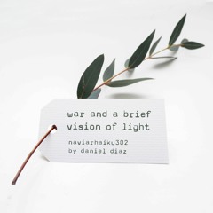 war and a brief vision of light - naviarhaiku302
