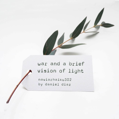 war and a brief vision of light - naviarhaiku302