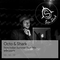 Slow Indian Summer Tech Mix from Brussels, Belgium 2019/10/12