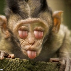 Monkey X Hunter X Abilties - Kitchen 3 Layer Supreme