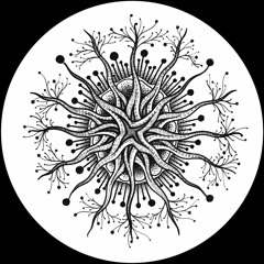 PREMIERE: Ivan Szew - Causality