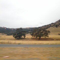 my son cool (gbv cover)