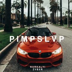 Nurkalyi X ZVBXR - PIMP SLVP