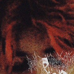 Rain Phantom (feat. Mag)