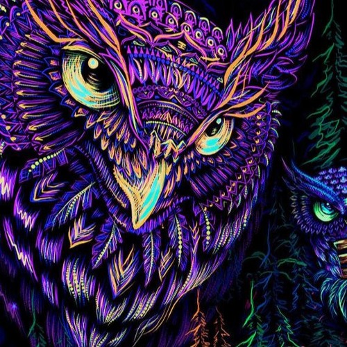 STEIN&HART [Eulenklause x Dallo] - PsyTekk [FirstTry-Set//Unmastered]